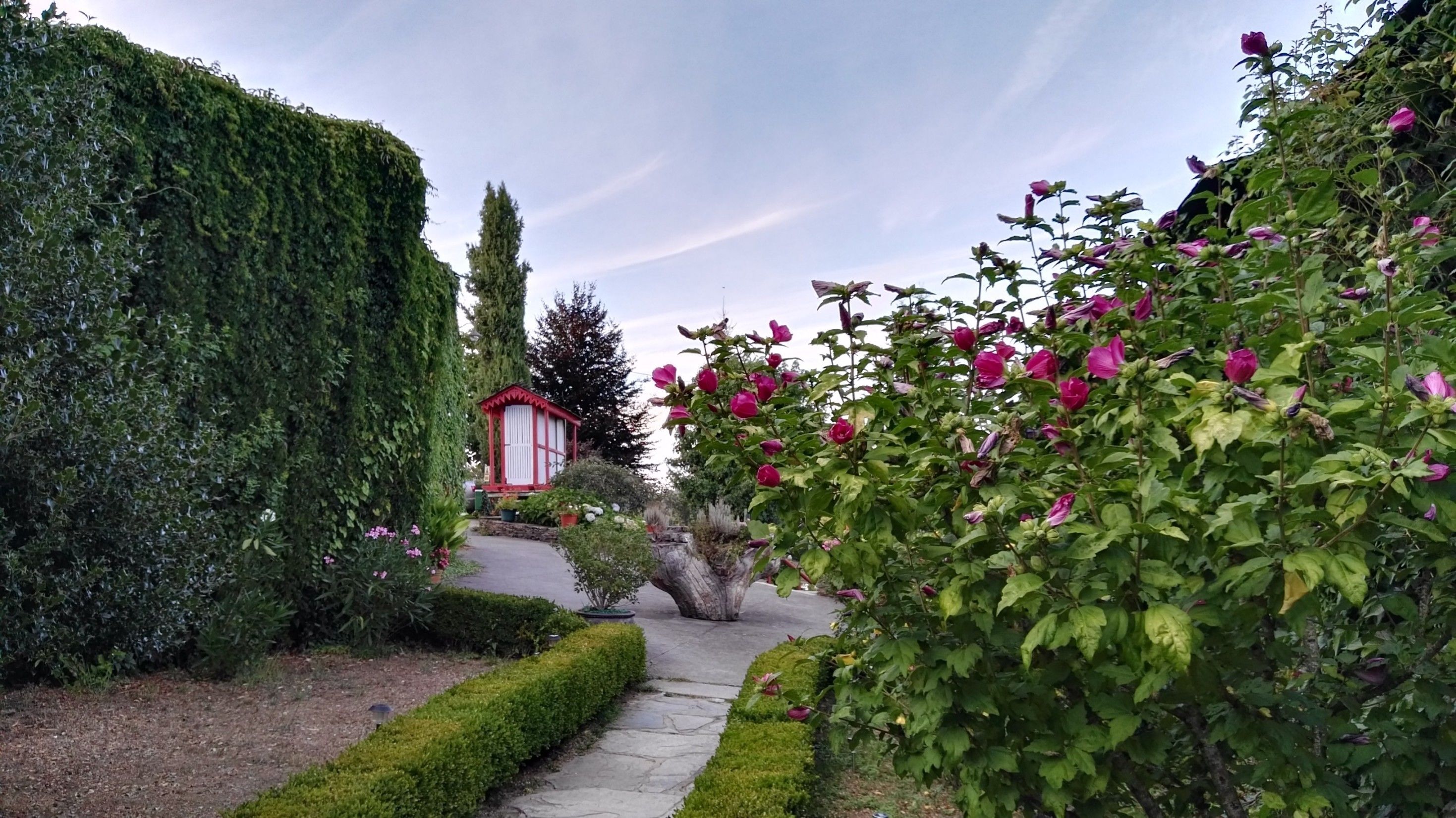 traditional twin room, 1 bedroom, garden view, ground floor | view from room