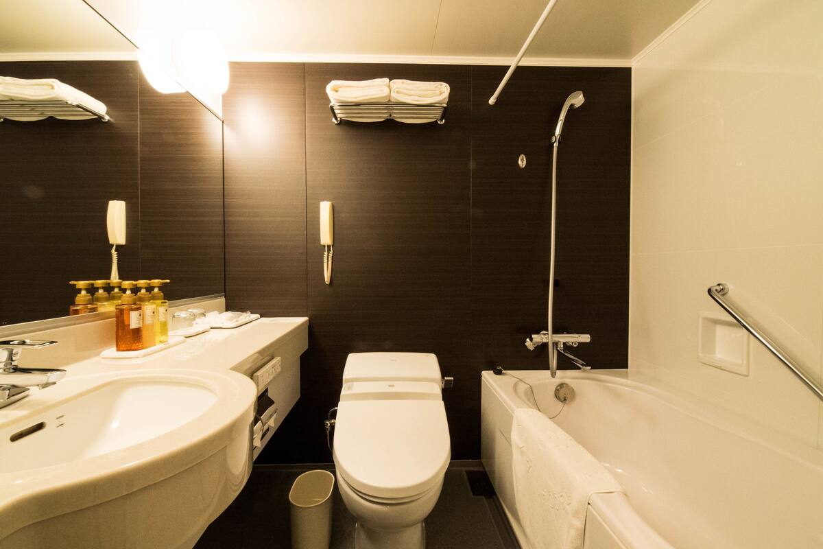 combined shower/bathtub, hair dryer, electronic bidet, towels