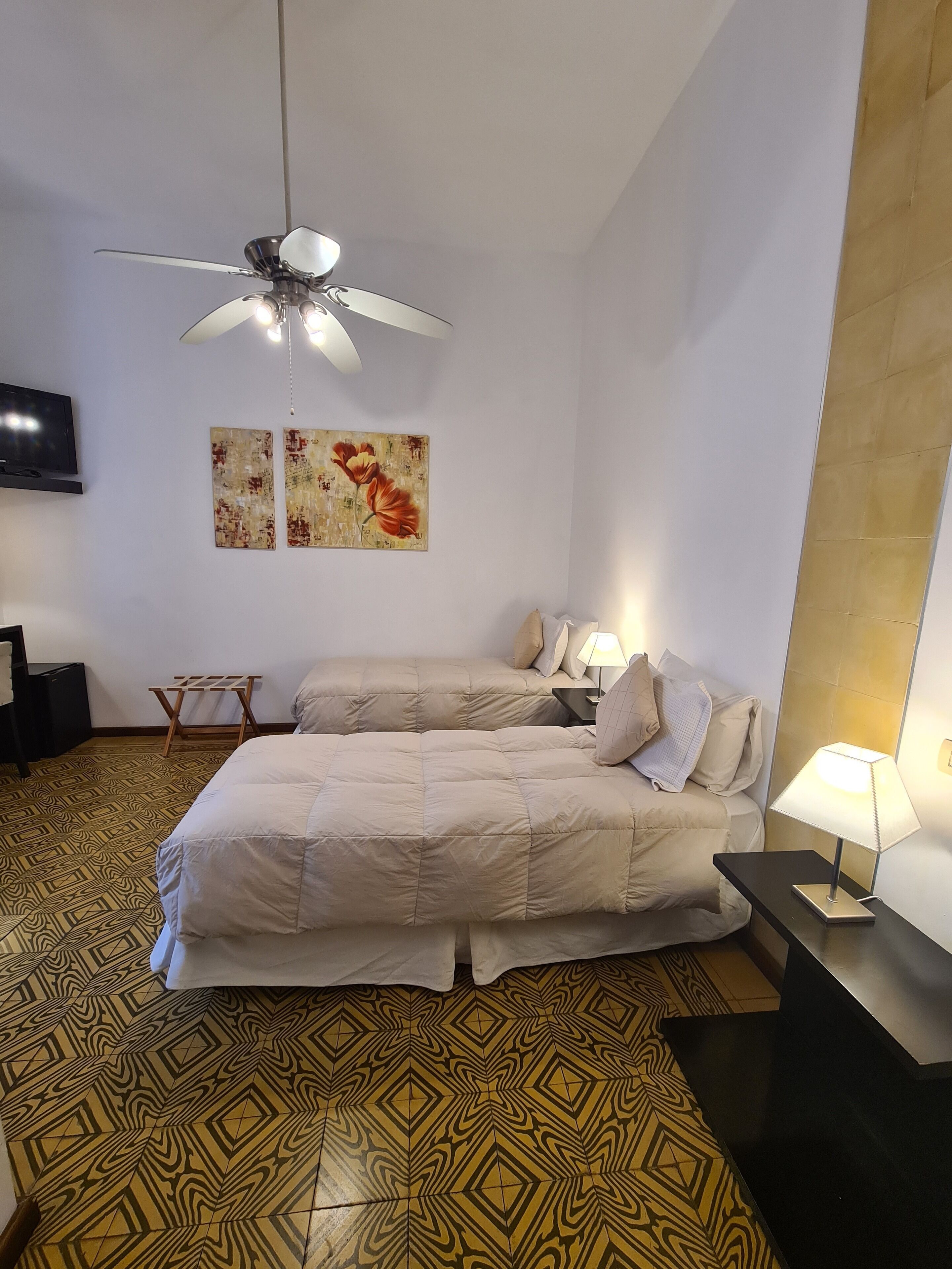 A bedroom with a bed, a ceiling fan, a TV, and two paintings on the wall.