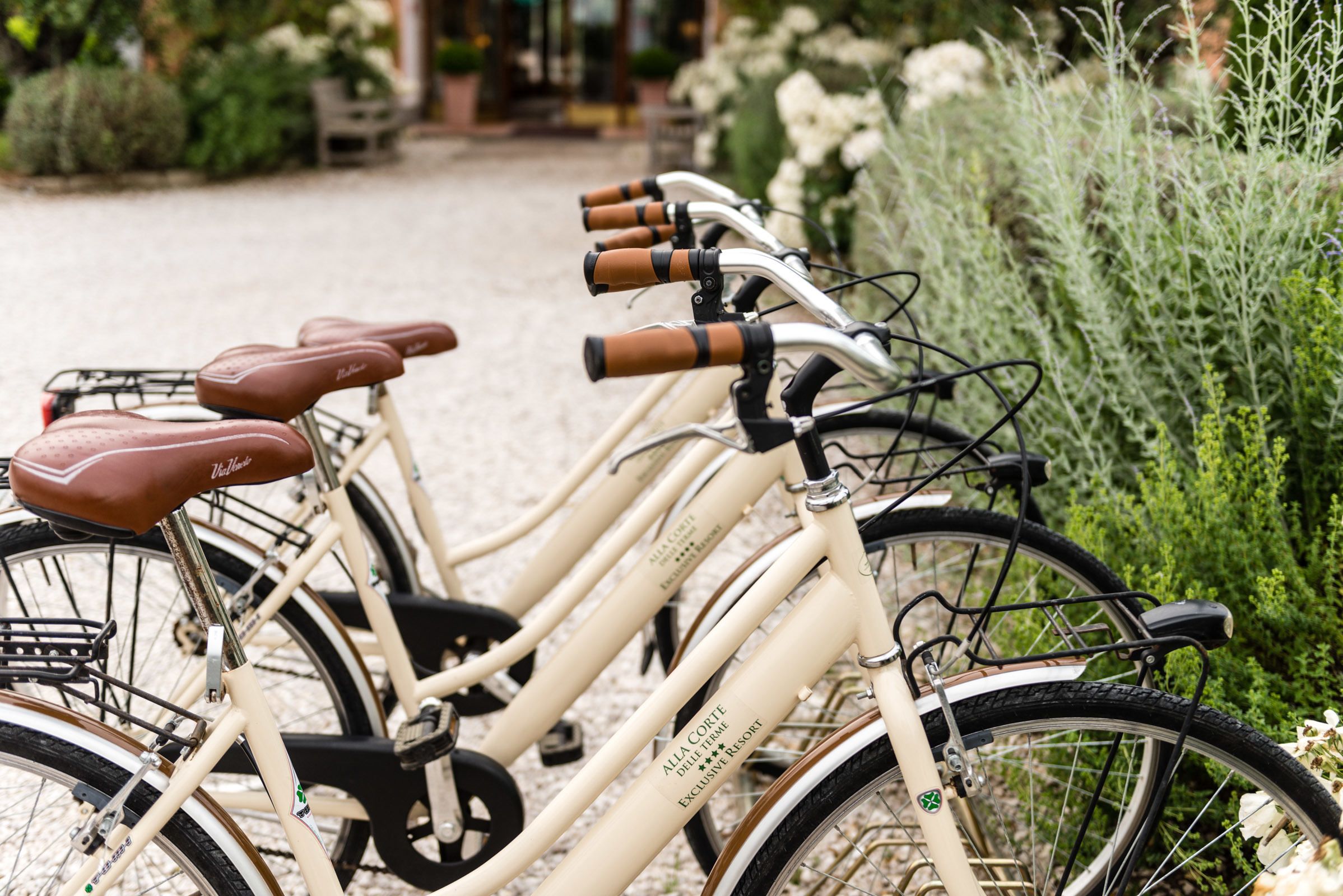 Várias bicicletas estacionadas em um jardim com um caminho de cascalho.
