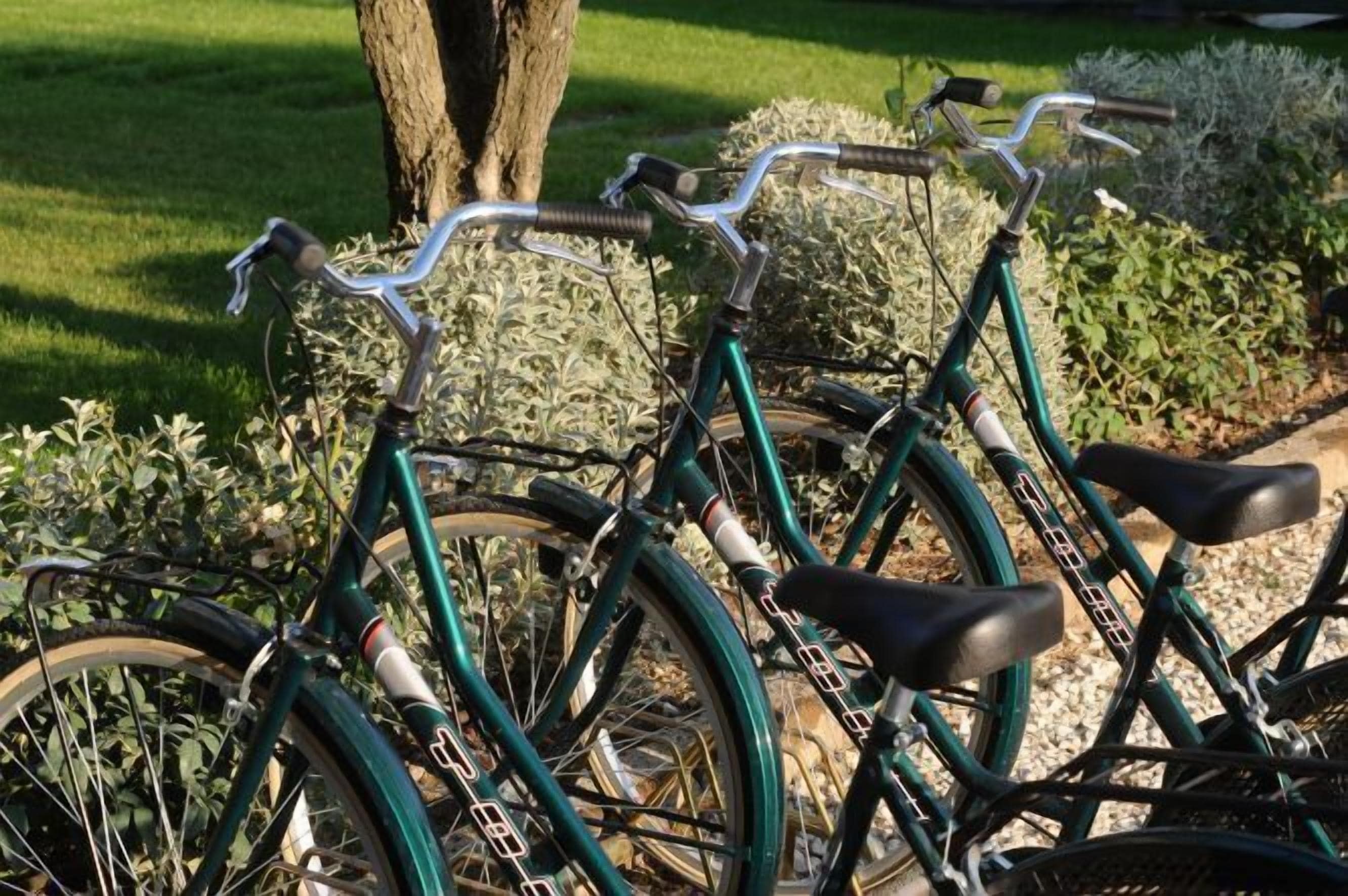 A row of bicycles parked in a garden area with a tree and shrubs in the background.