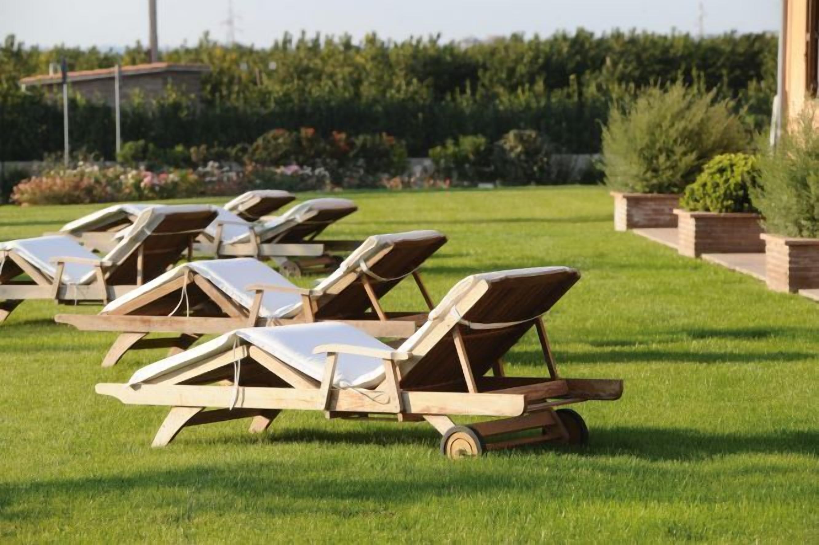 A row of wooden lounge chairs with cushions on a grassy lawn, set against a backdrop of greenery and a building.