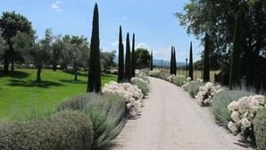Un sendero de grava bordeado por setos ordenados y altas cipreses, que atraviesa un jardín cuidado.