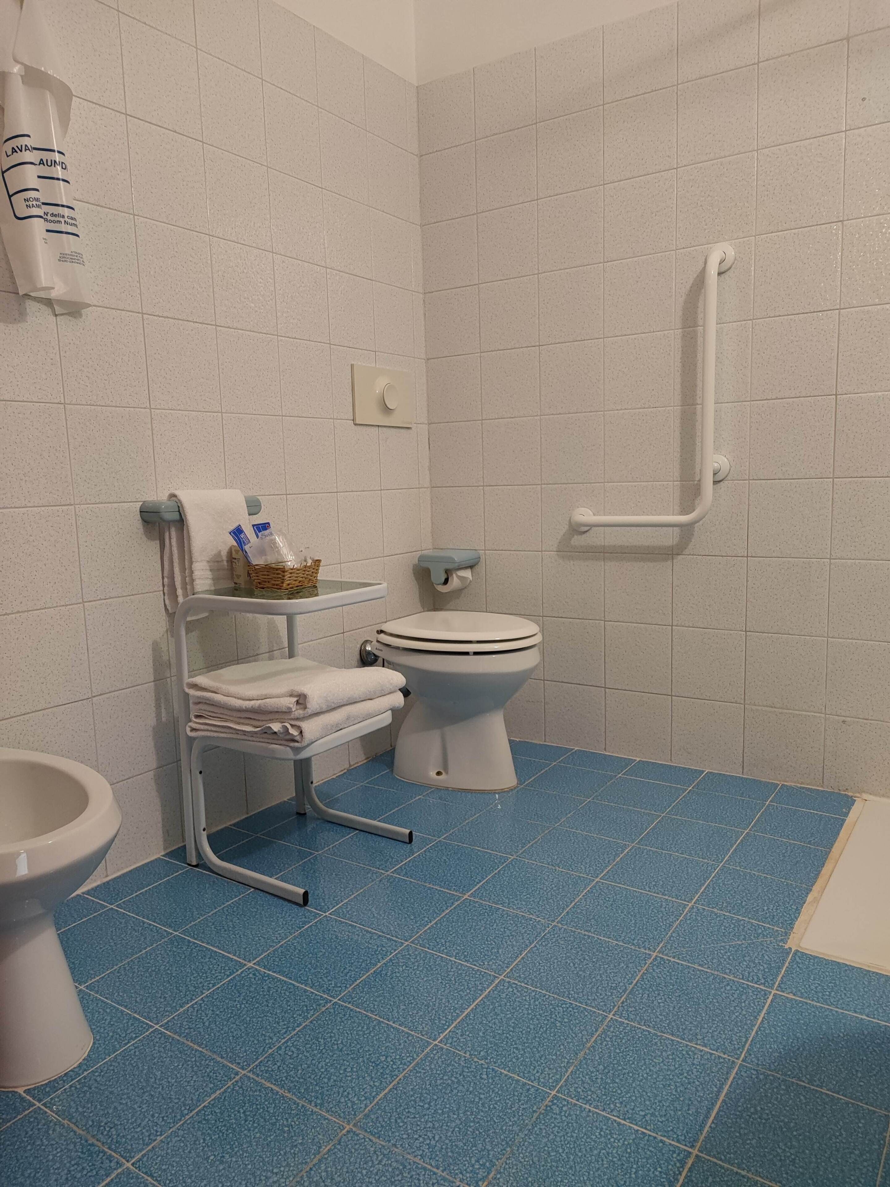 shower, rainfall showerhead, free toiletries, hair dryer