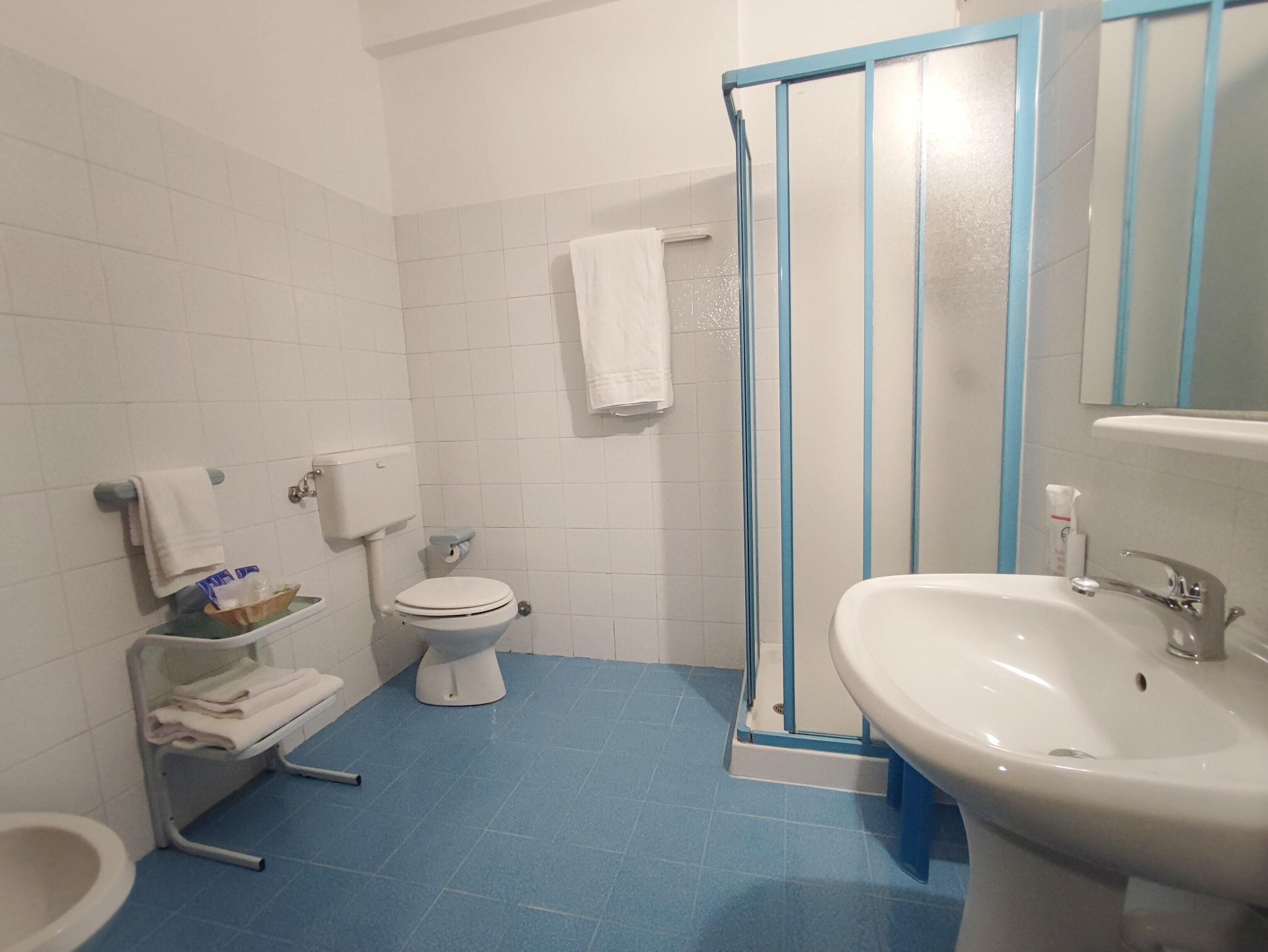 shower, rainfall showerhead, free toiletries, hair dryer