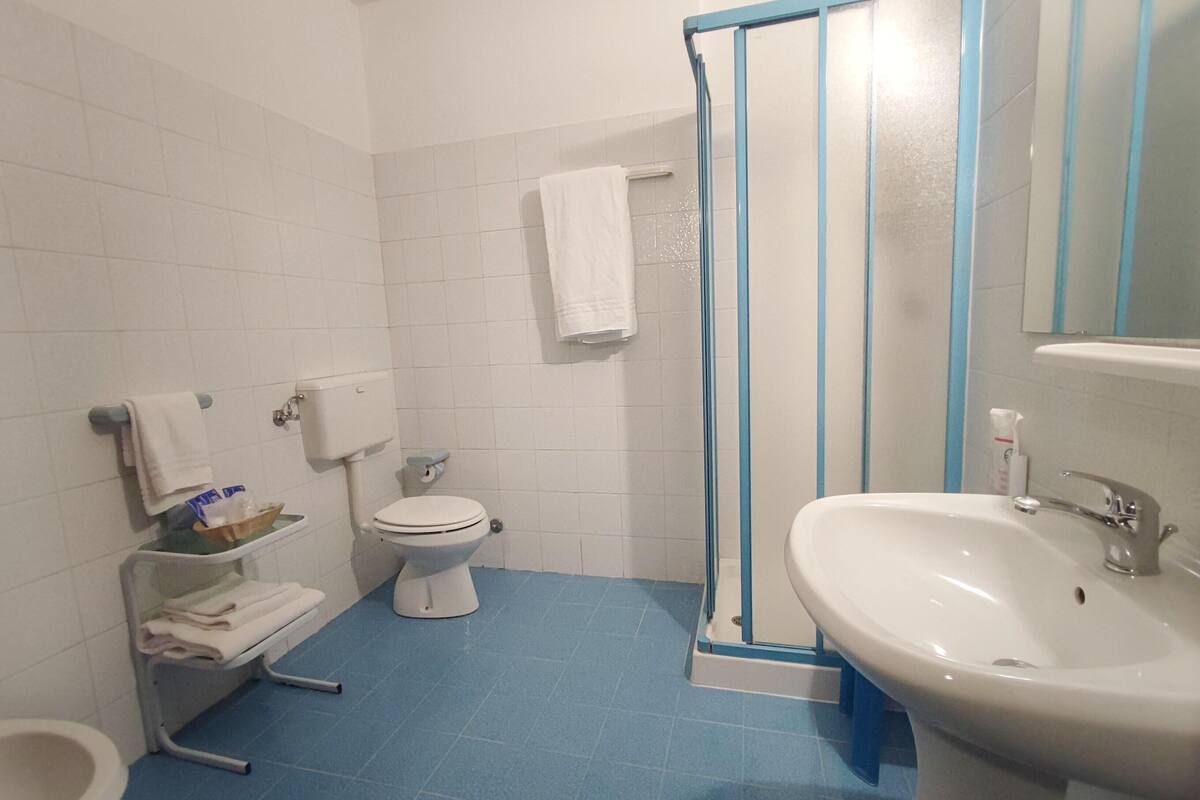 shower, rainfall showerhead, free toiletries, hair dryer