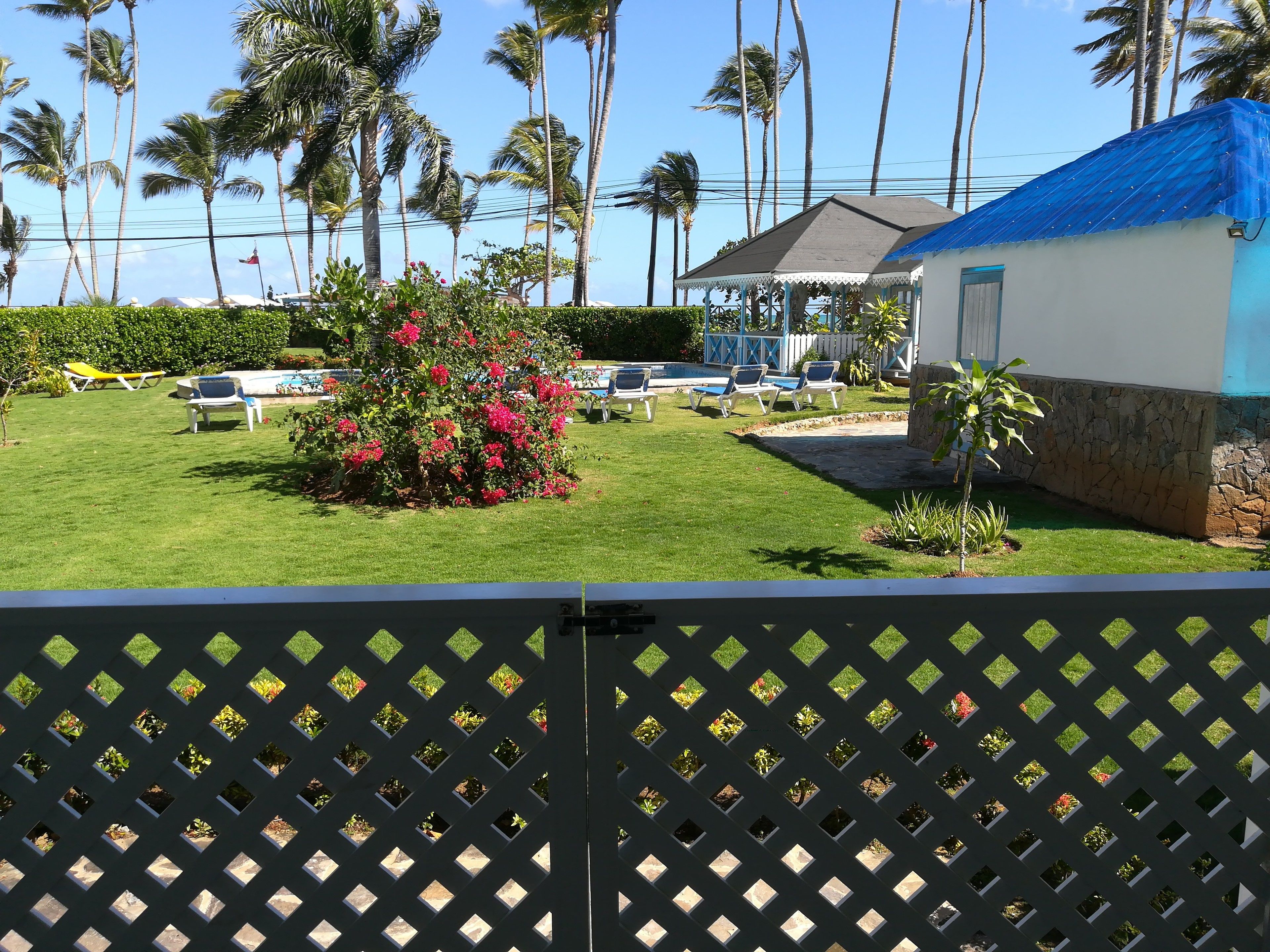A pool area with lounge chairs, a small building with a blue roof, and palm trees in the background.