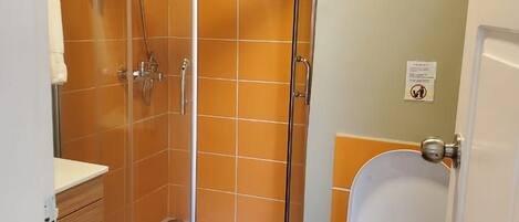 Ein Badezimmer mit einer Duschkabine, einer Toilette und einem Mülleimer.