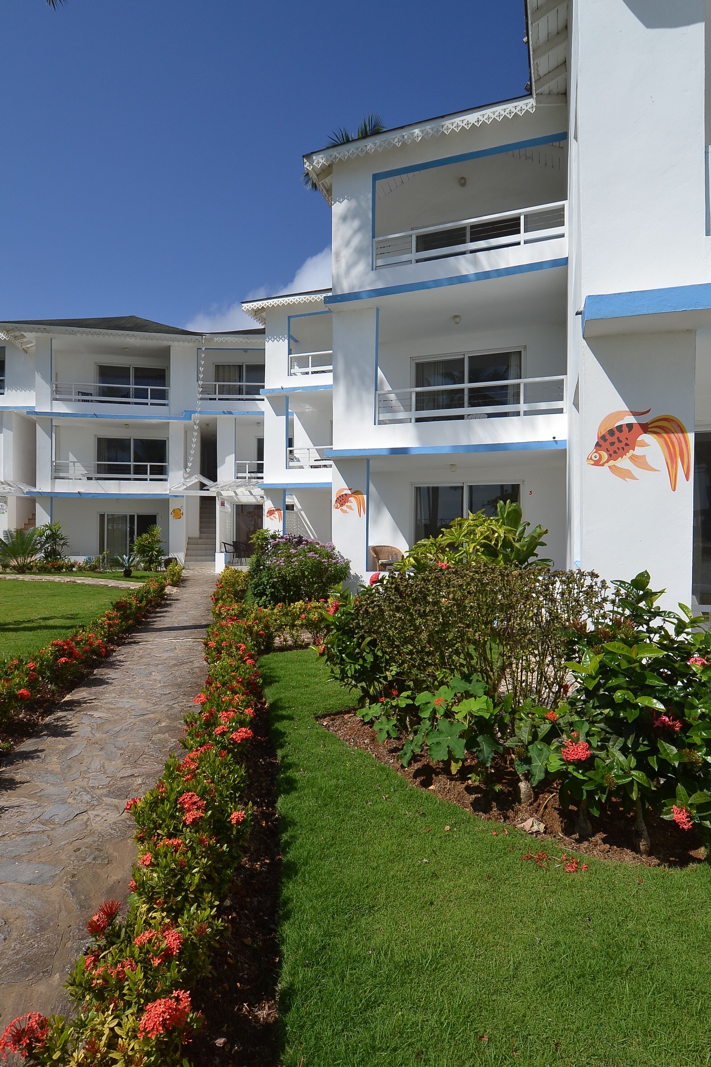 Una piscina al aire libre, sombrillas, sillones reclinables de piscina