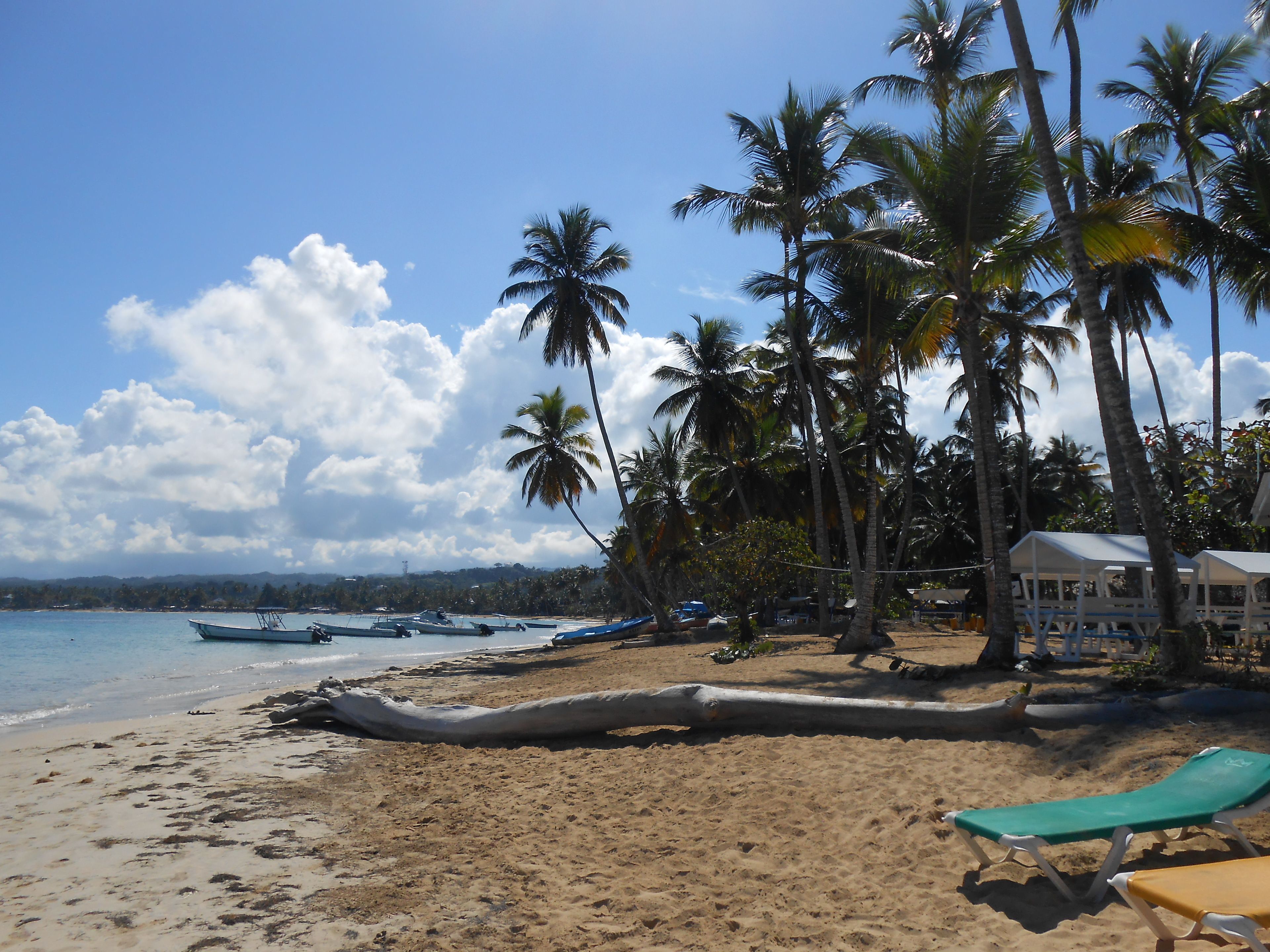 A beach with palm trees, lounge chairs, and boats.