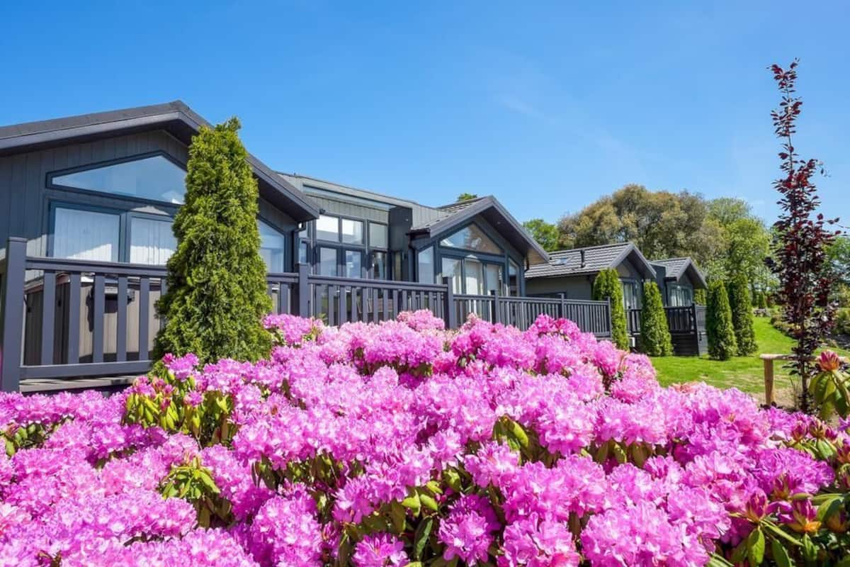 Ein modernes Gebäude mit großen Fenstern und einem Balkon, umgeben von einem Garten mit rosa Blumen.