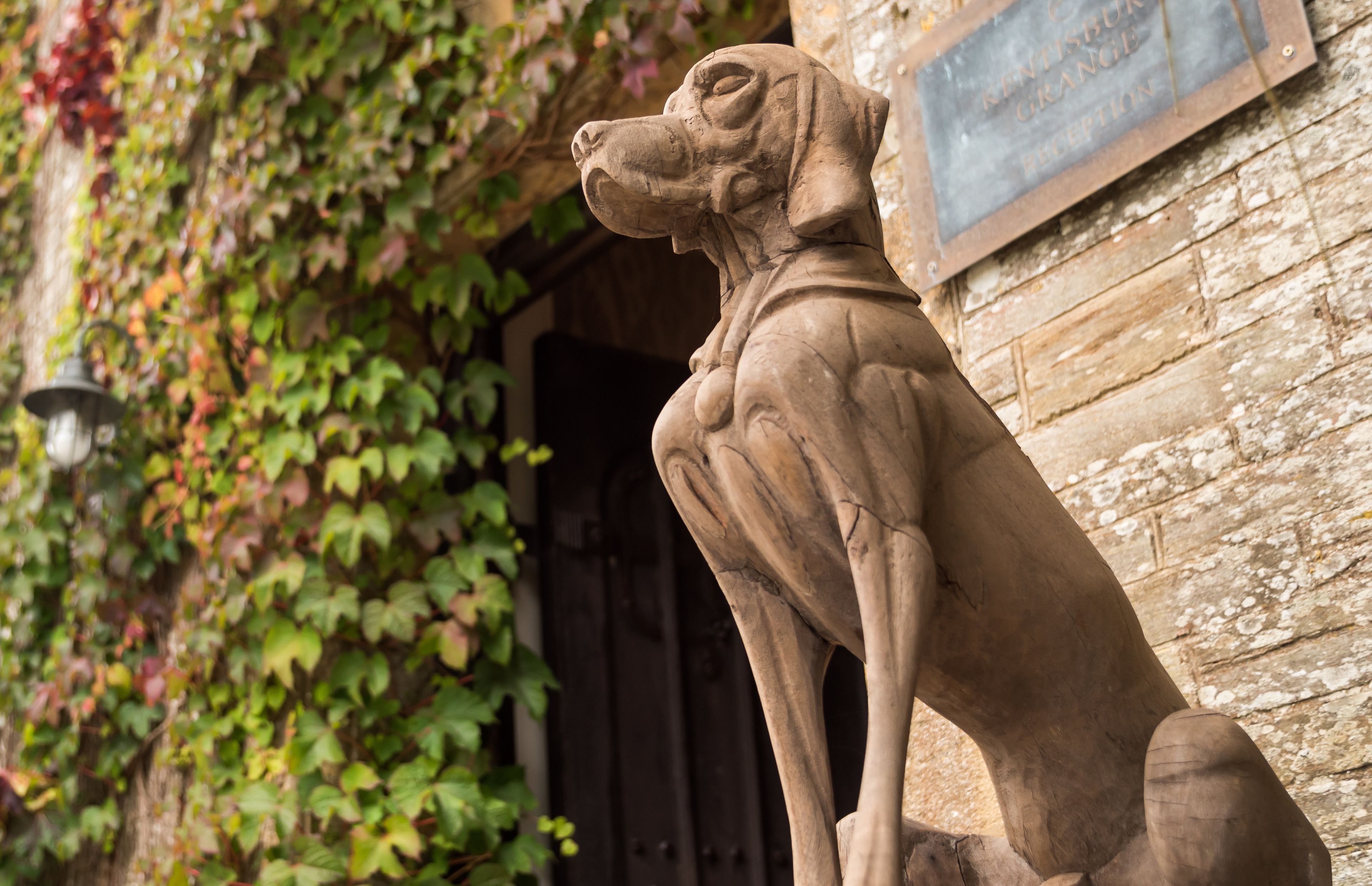 A stone statue of a dog in front of a building with ivy-covered walls.