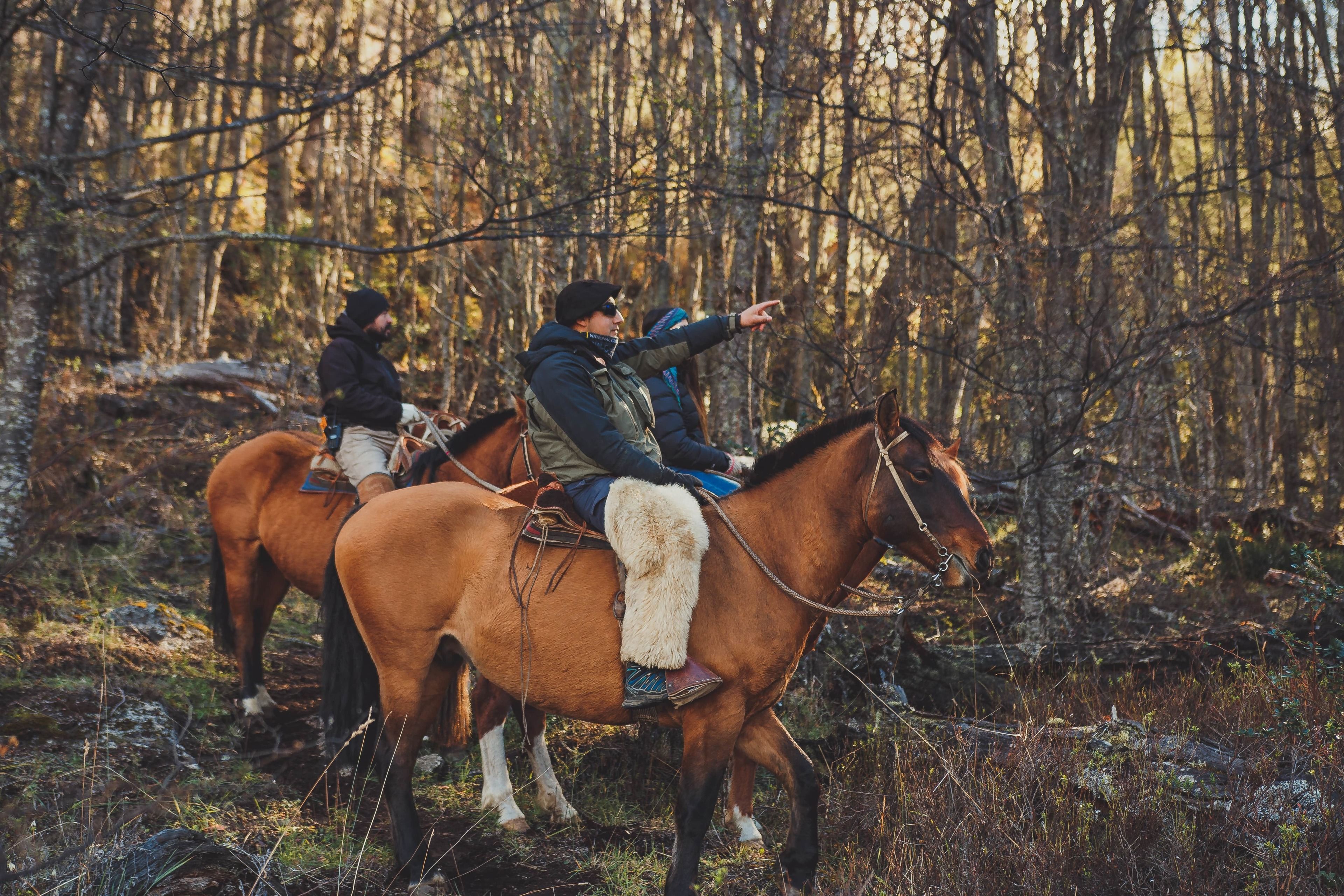 Zwei Personen reiten durch einen bewaldeten Bereich.