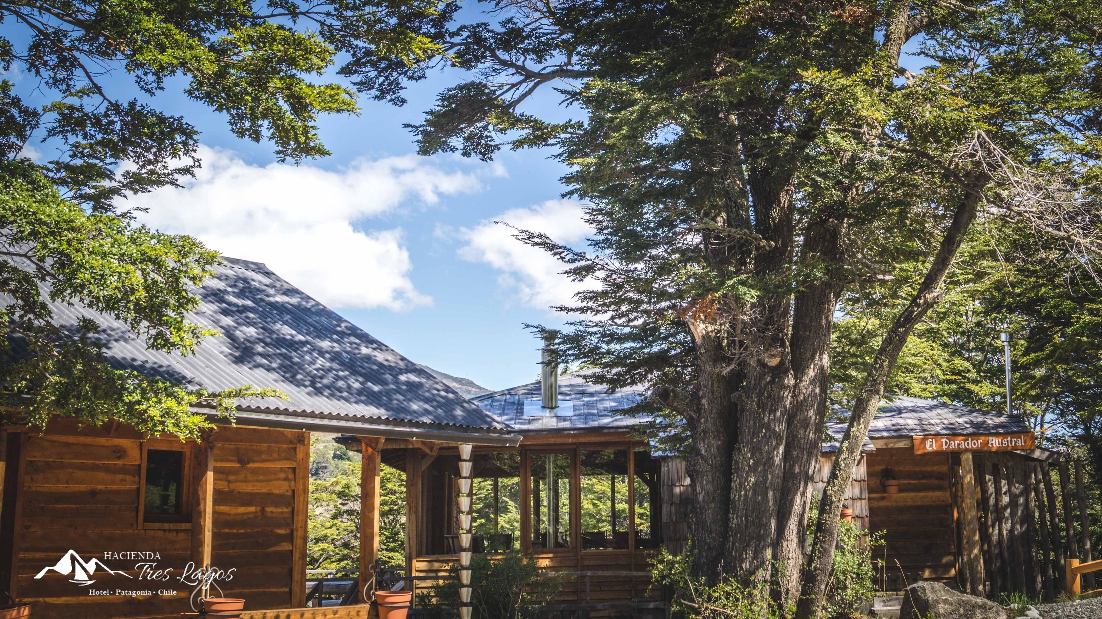 A wooden cabin with a metal roof, surrounded by trees and a mountain backdrop.