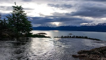 Um lago tranquilo com montanhas ao fundo e uma árvore à esquerda.