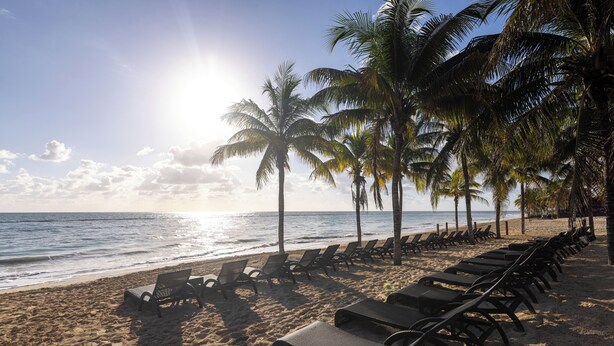 A beach with rows of sun loungers and palm trees, a clear sky, and the ocean in the background. - Royalton Hideaway Riviera Cancun, An Autograph Collection All-Inclusive Resort- Adults Only - Newly Renovated (Puerto Morelos)