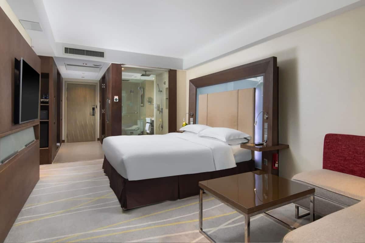 A hotel room with a bed, a television, a desk, and a mirror.
