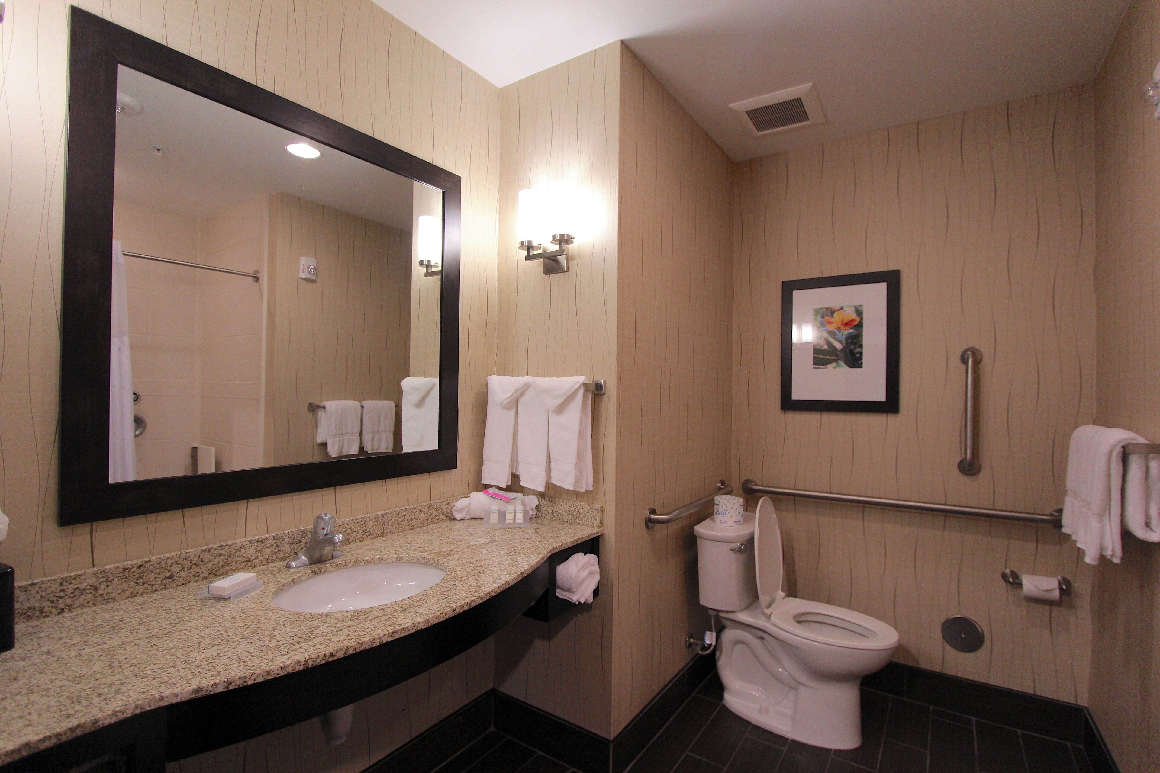 A bathroom with a sink, mirror, toilet, and handrail.