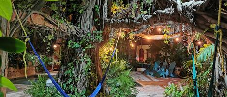 A lush indoor garden with hammocks, potted plants, and a pathway.