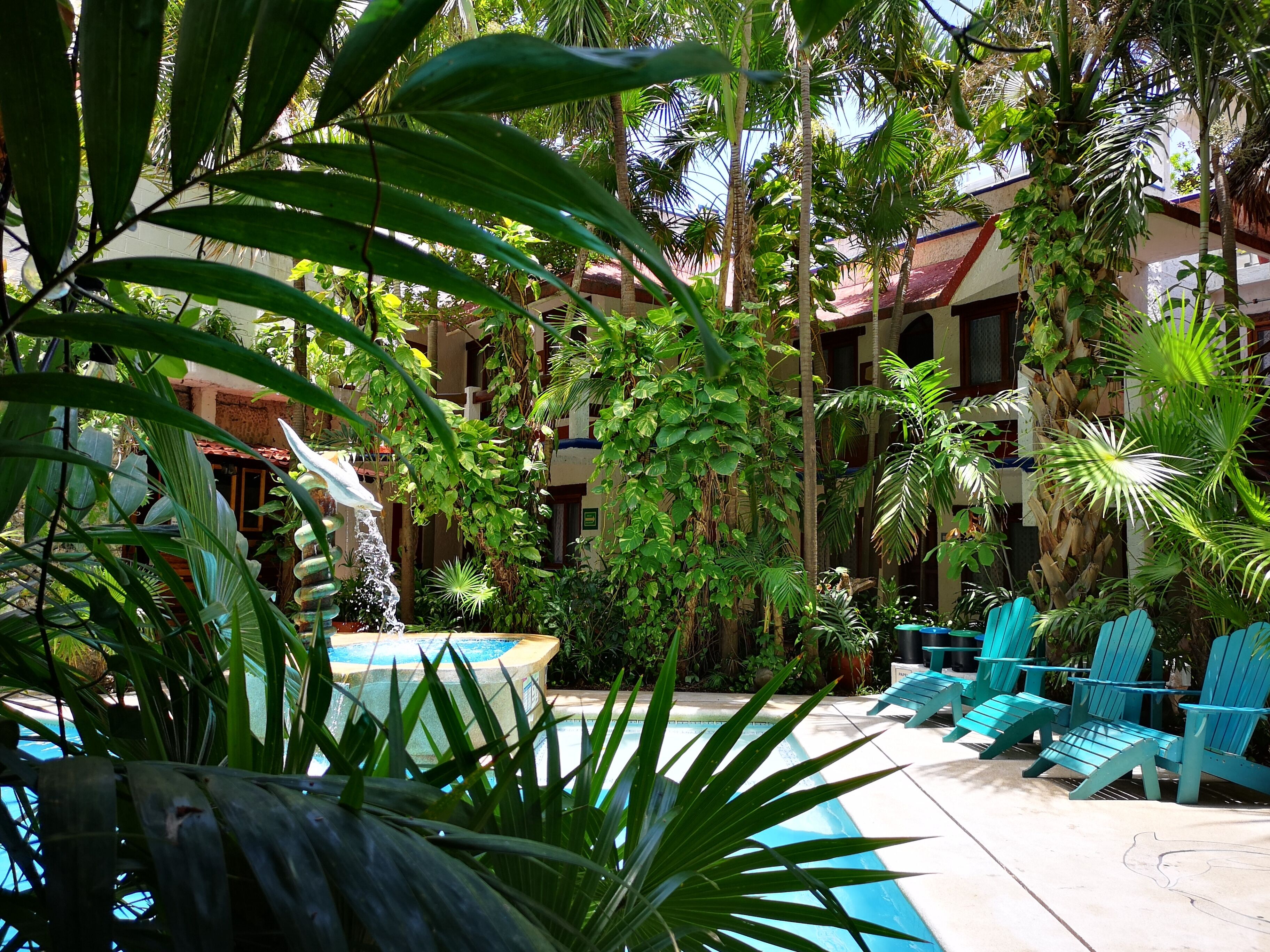 Photo - Eco-Hotel El Rey del Caribe