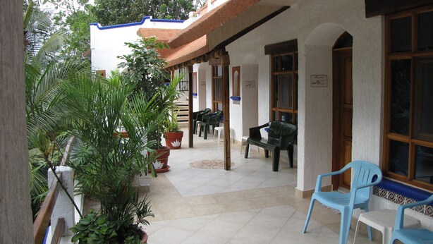 A covered outdoor area with potted plants, a bench, and plastic chairs. - Eco-Hotel El Rey del Caribe (Cancun)