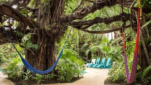 A pathway leading to a seating area with chairs and a hammock in a lush, green environment. - Eco-Hotel El Rey del Caribe (Cancun)