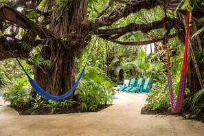 Property grounds - Eco-Hotel El Rey del Caribe (Cancun)