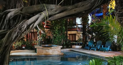 Eco-Hotel El Rey del Caribe