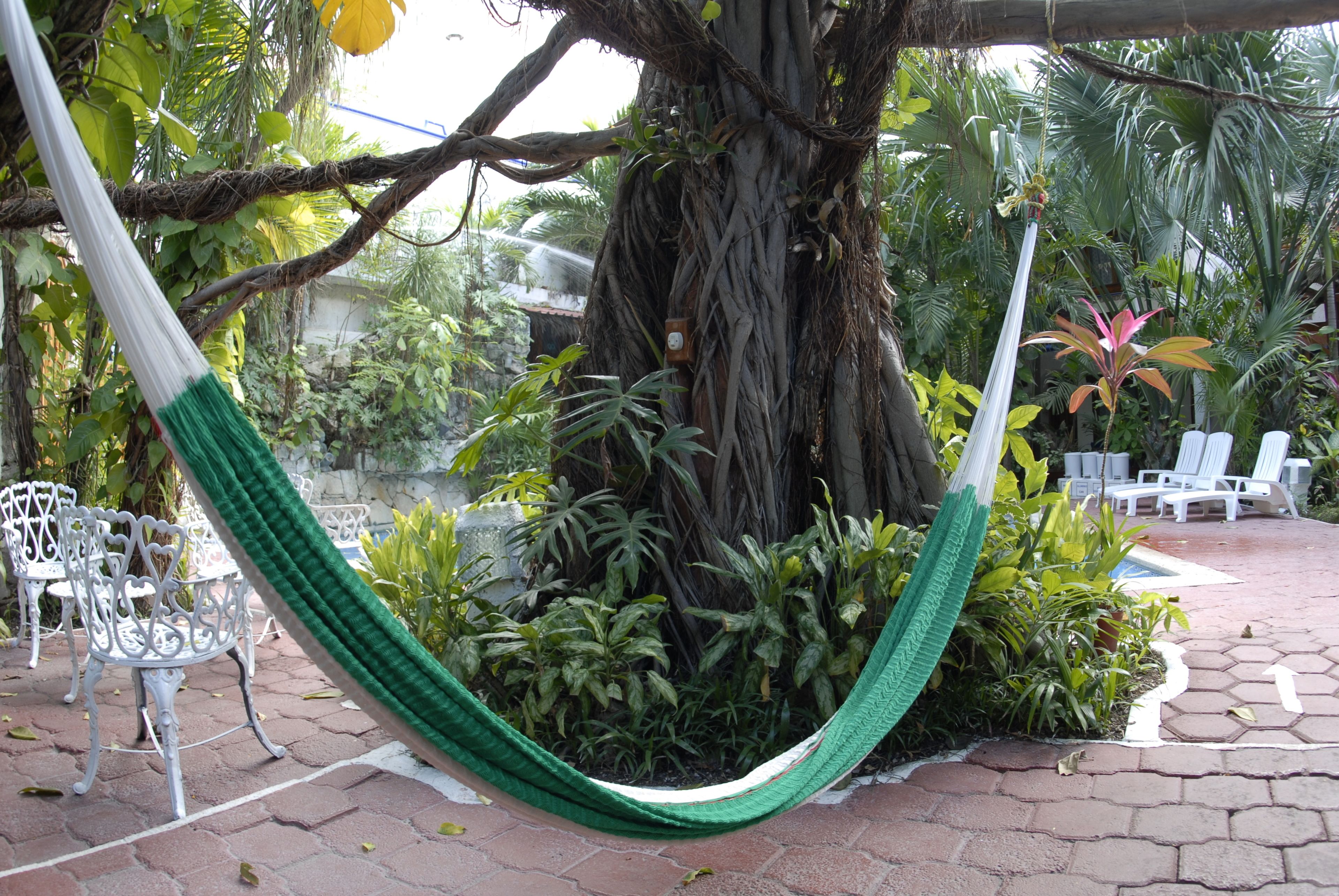 Un hamac est tendu entre deux arbres dans un jardin où l’on trouve des chaises en métal blanc et un chemin pavé de briques.