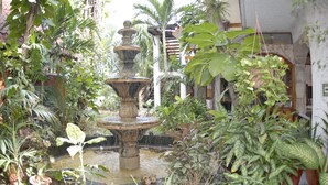 A multi-tiered stone fountain surrounded by lush greenery in an outdoor setting. - Eco-Hotel El Rey del Caribe (Cancun)