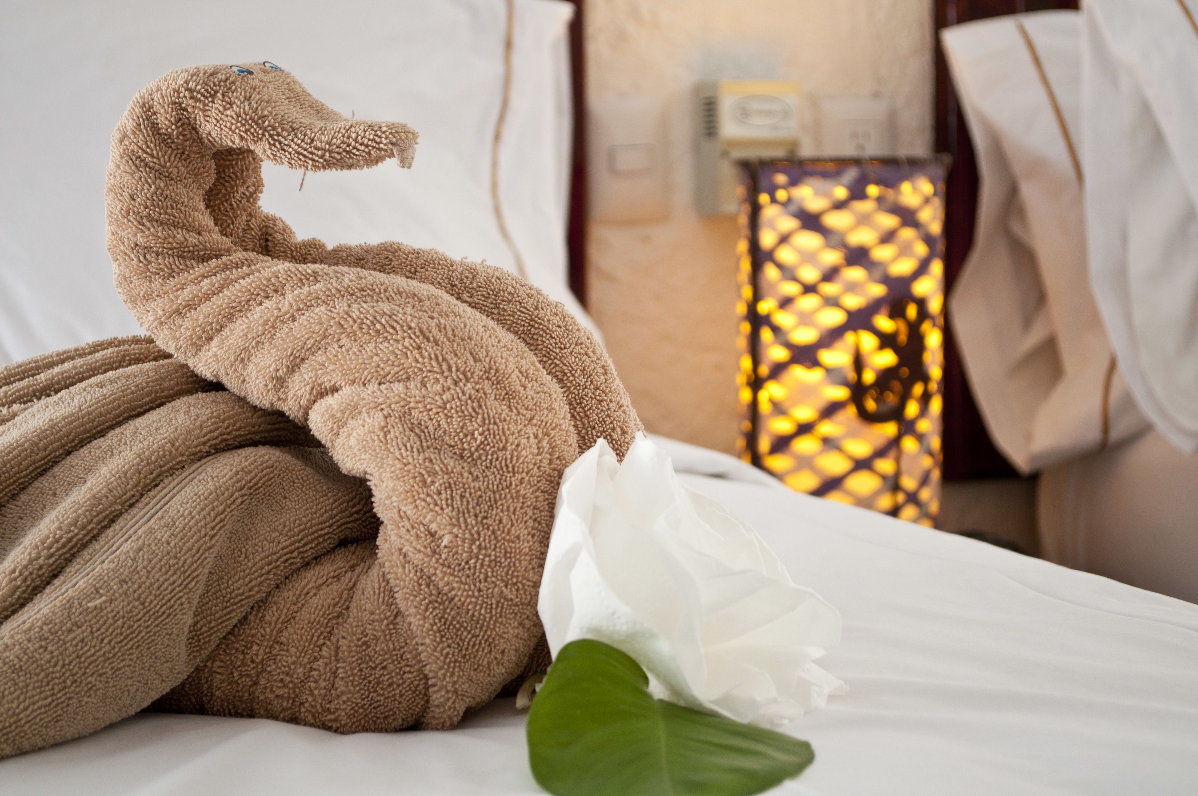 basic room (two double beds full size ) | 1 bedroom, down duvets, minibar, in-room safe