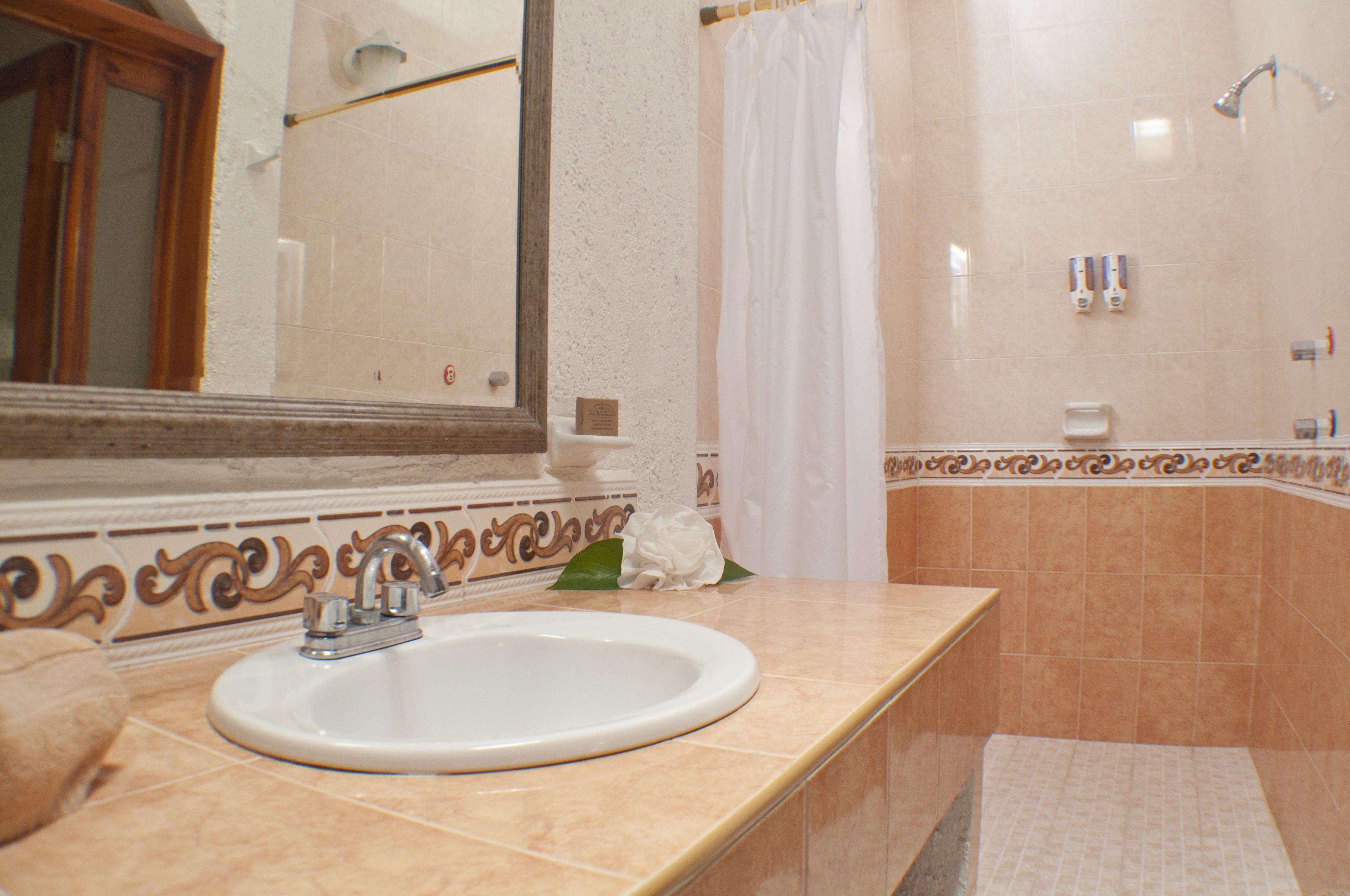 business room, 1 queen bed | bathroom | shower, free toiletries, hair dryer, towels