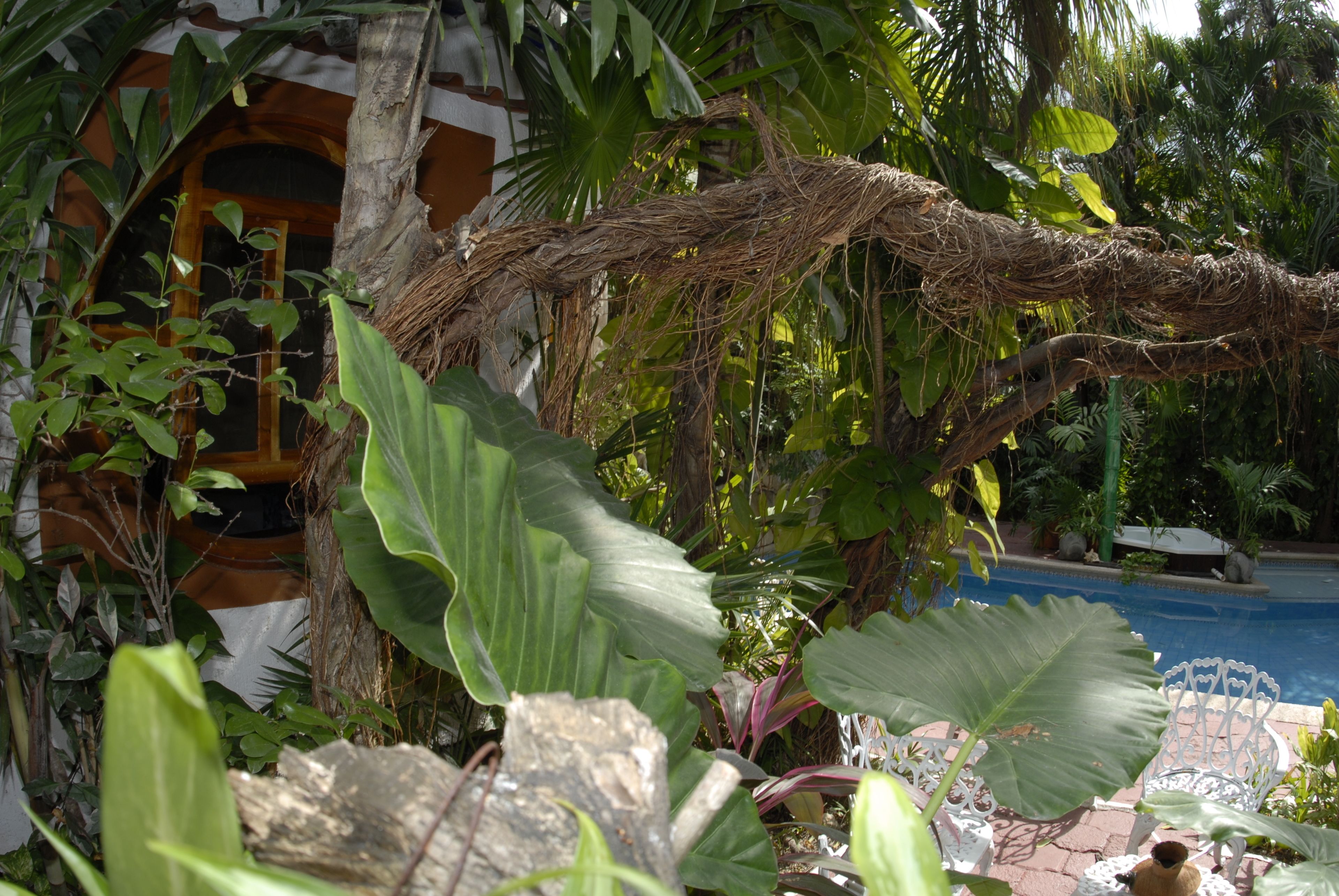 Photo - Eco-Hotel El Rey del Caribe