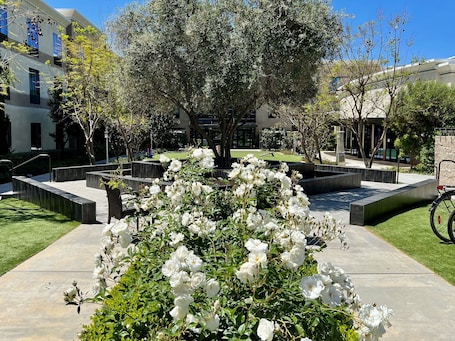 Property amenity. Staybridge Suites Carlsbad by IHG