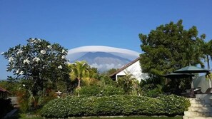 Vista a la montaña