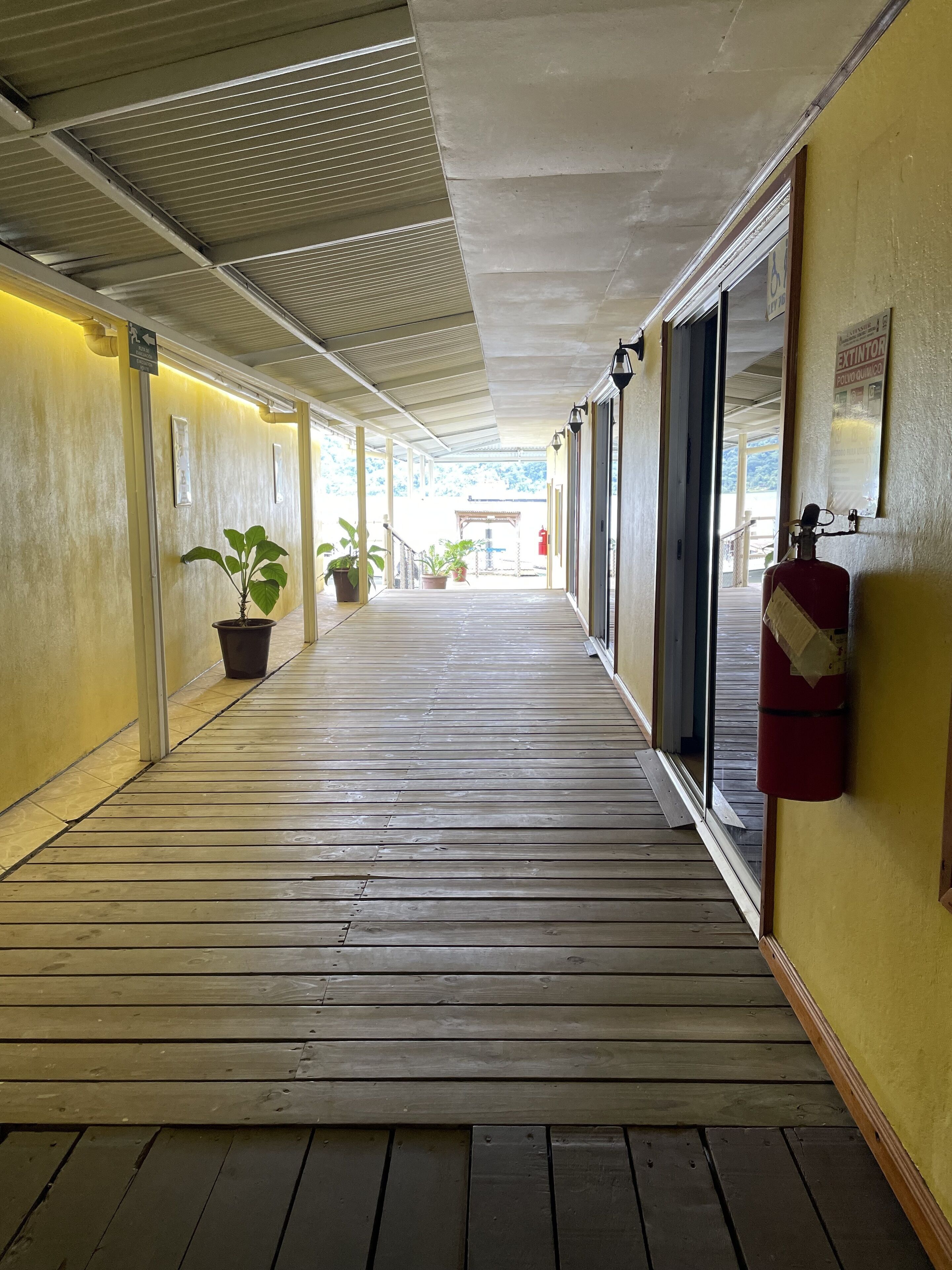 Un couloir doté d’un plancher en bois, de plantes en pot et d’un extincteur fixé au mur.