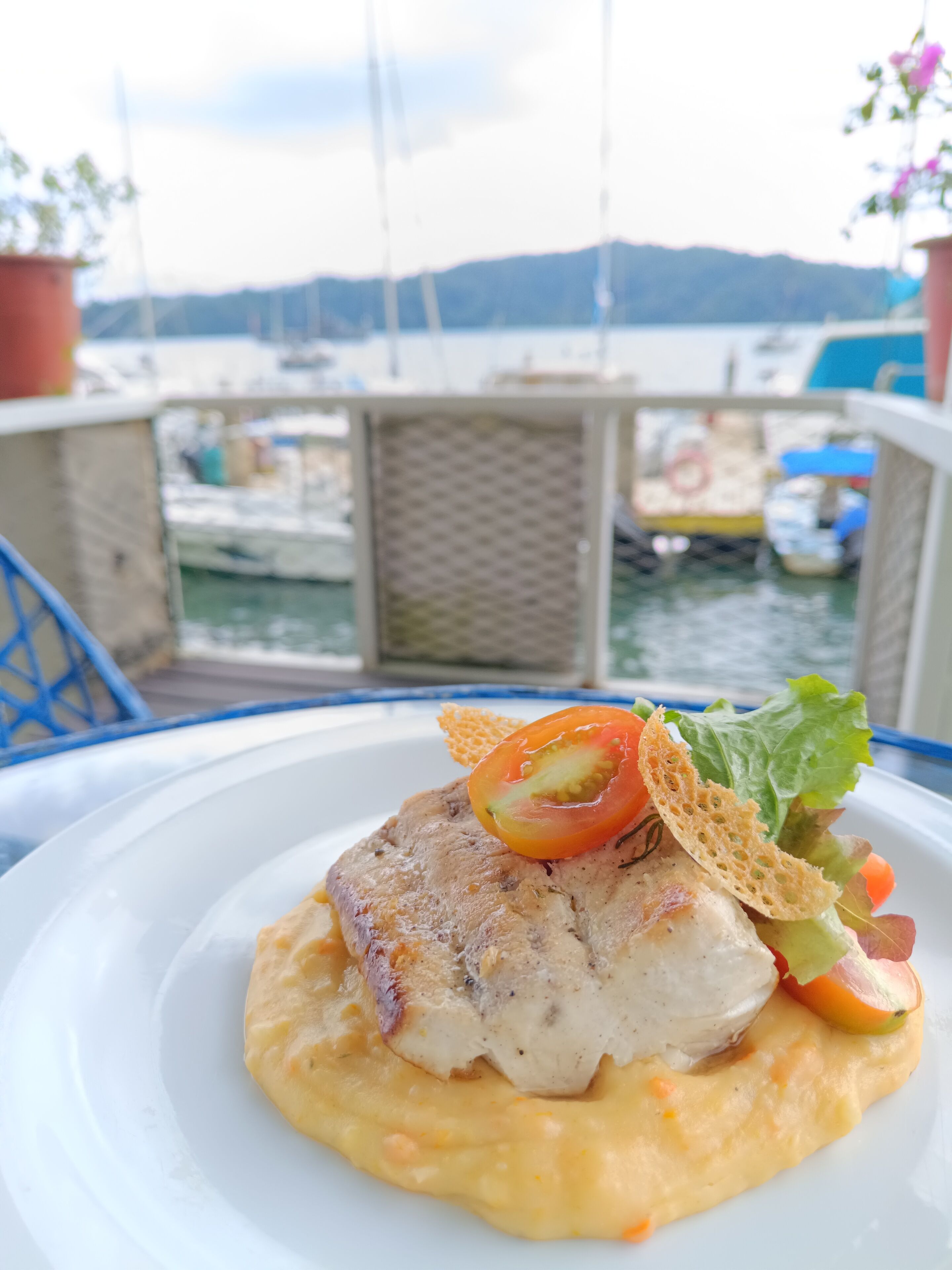 Un plat de fruits de mer servi dans une assiette blanche, avec en arrière-plan une vue sur des bateaux et l’eau.