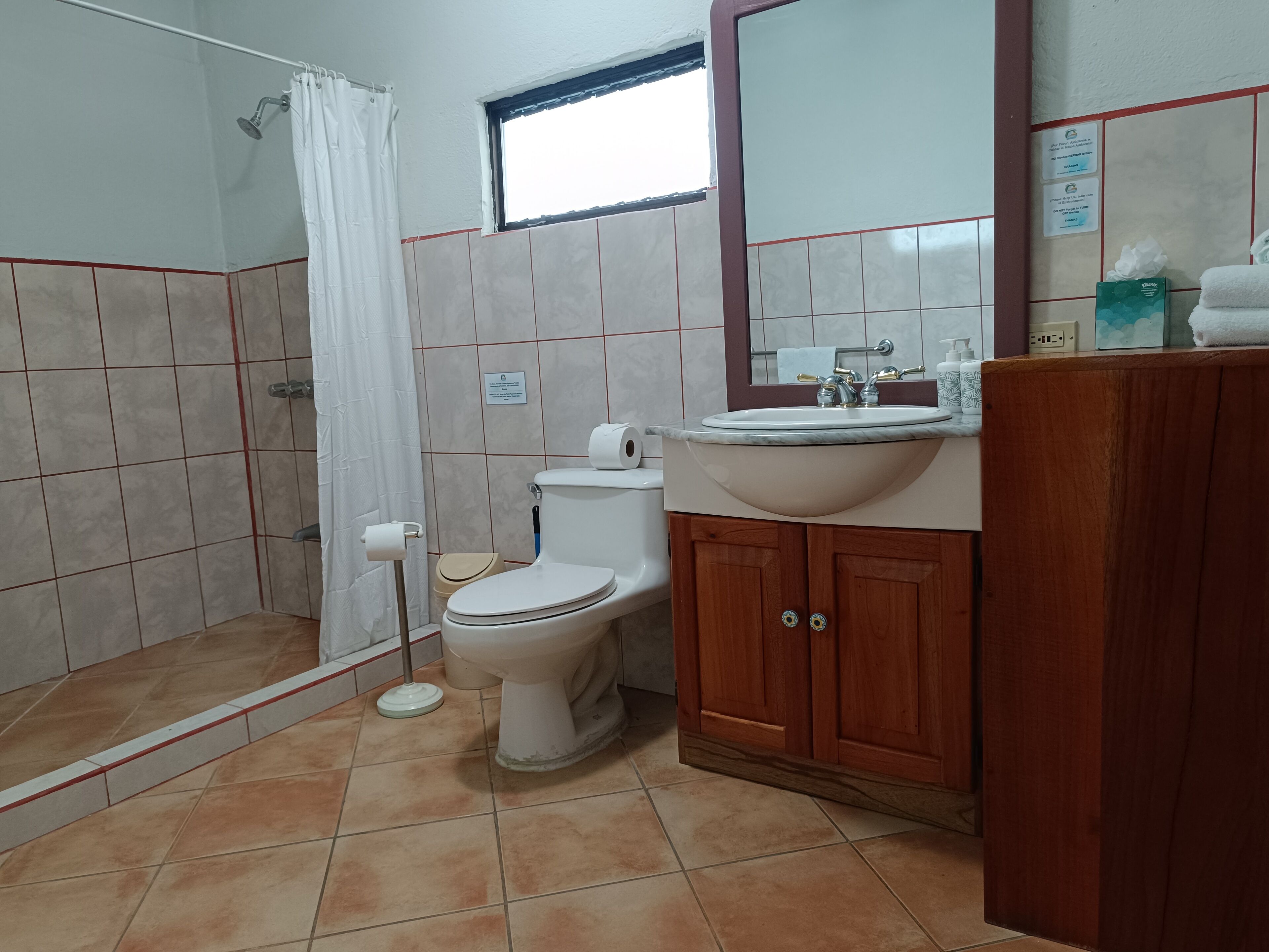 A bathroom with a shower, toilet, sink, and wooden cabinets.