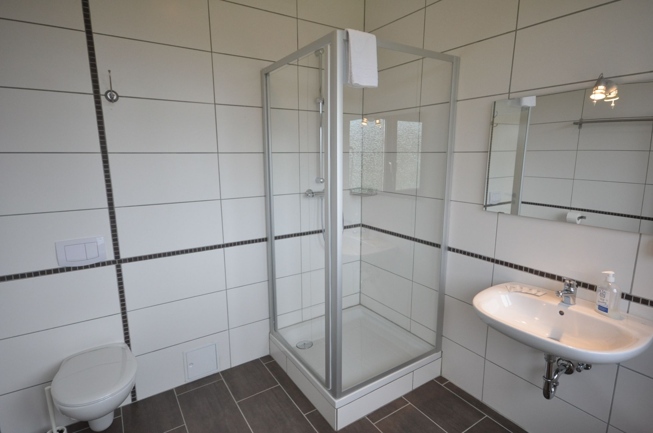 Un baño con ducha de vidrio, lavamanos blanco y retrete.