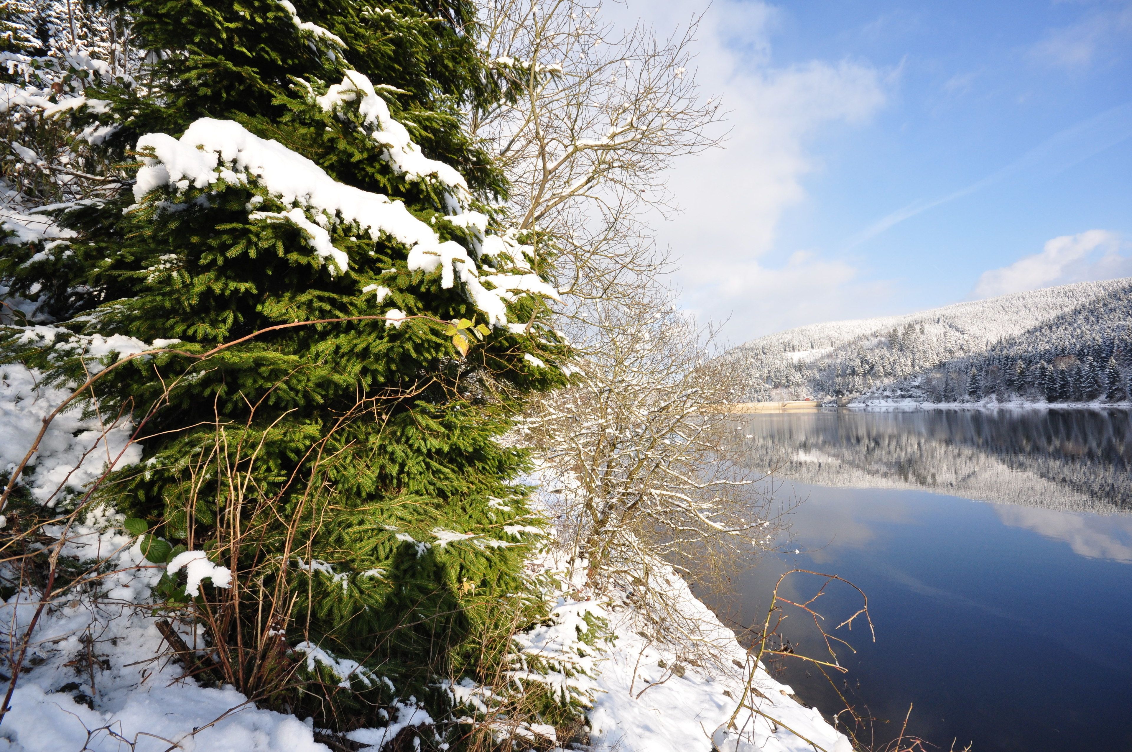 Eine friedliche Winterlandschaft mit einem mit Schnee bedeckten See, dichten Nadelbäumen und einem klaren Himmel.