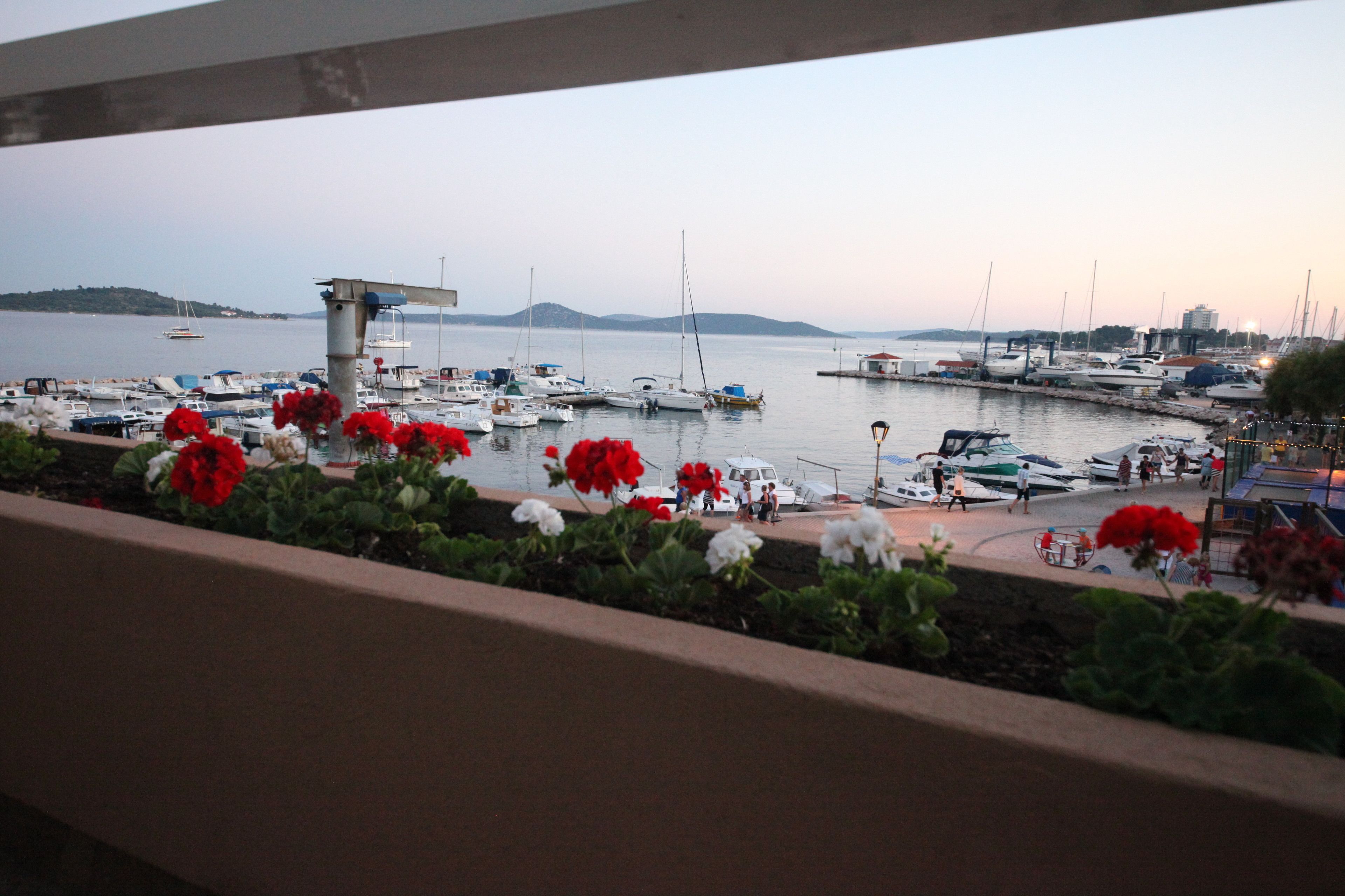 施設からの眺望