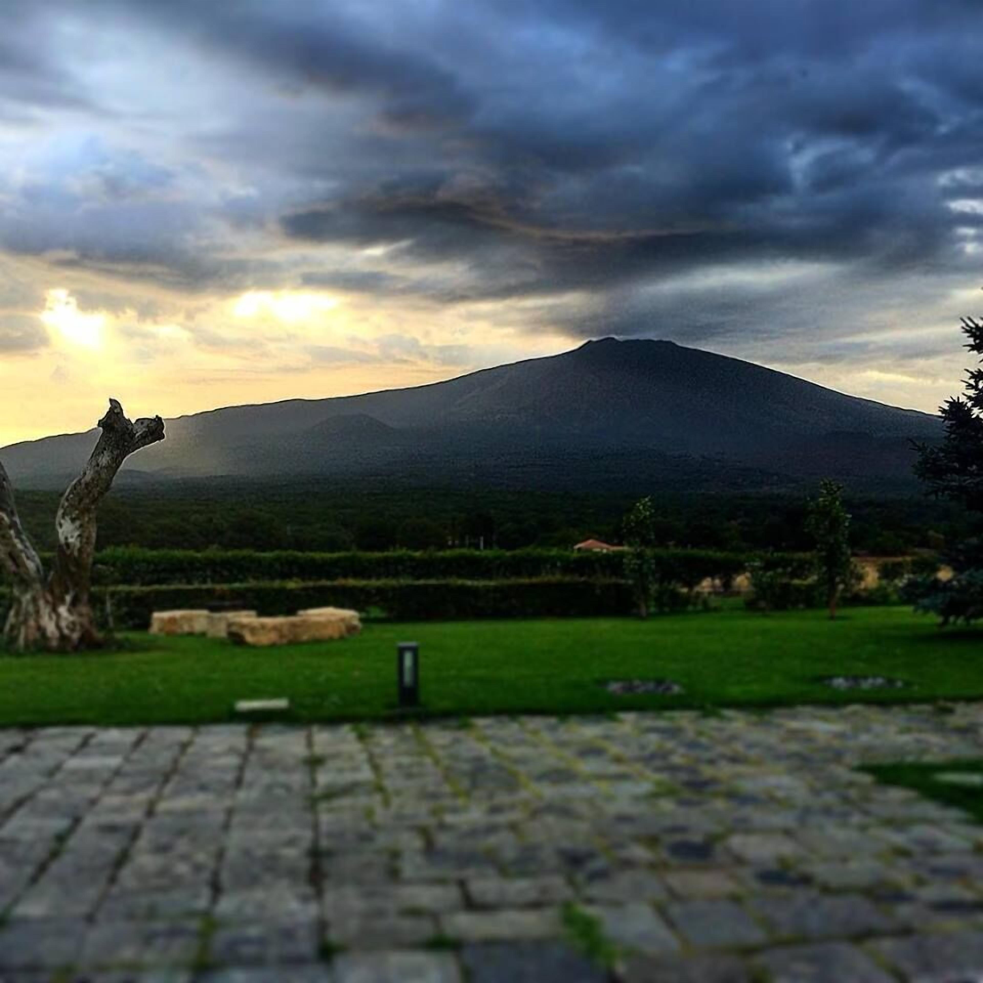 Vista dalla struttura