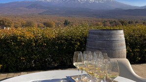Una mesa con copas de vino y una bandeja, frente a un paisaje con una montaña nevada y follaje otoñal.