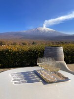 Una mesa con copas de vino y una bandeja, frente a un paisaje con una montaña nevada y follaje otoñal.