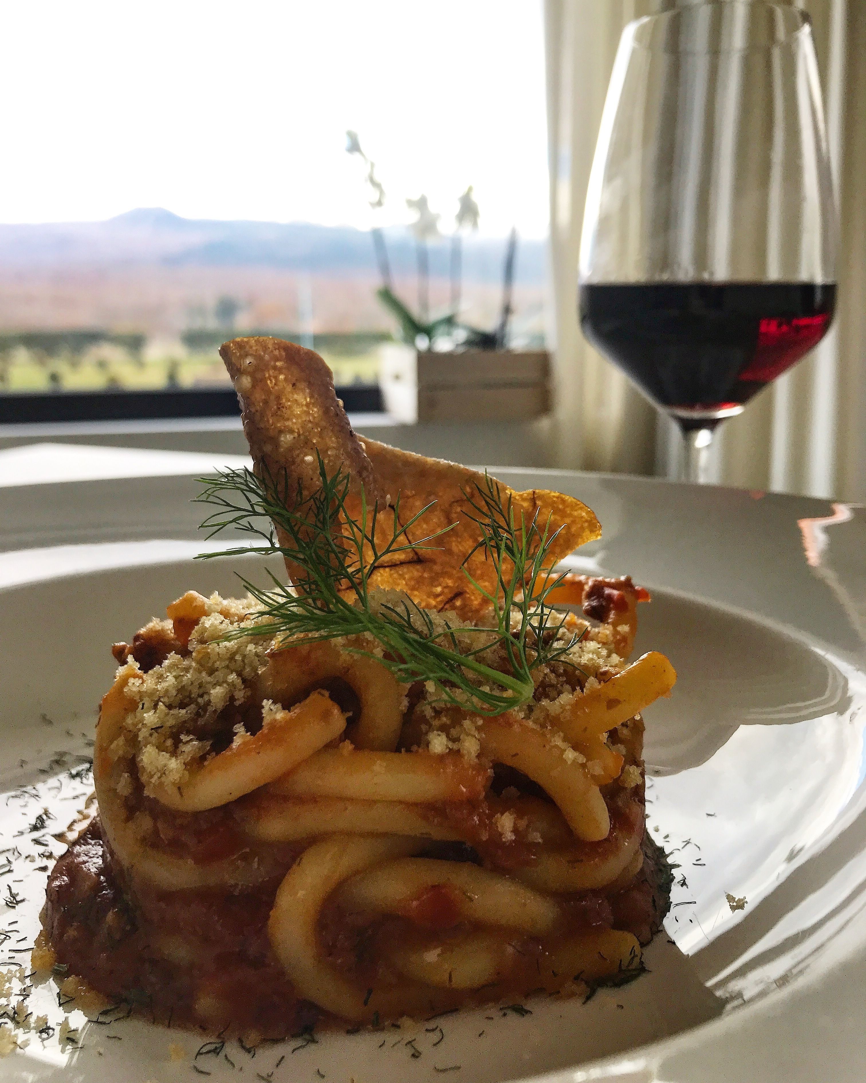 A plate of food with a glass of red wine and a scenic view in the background.