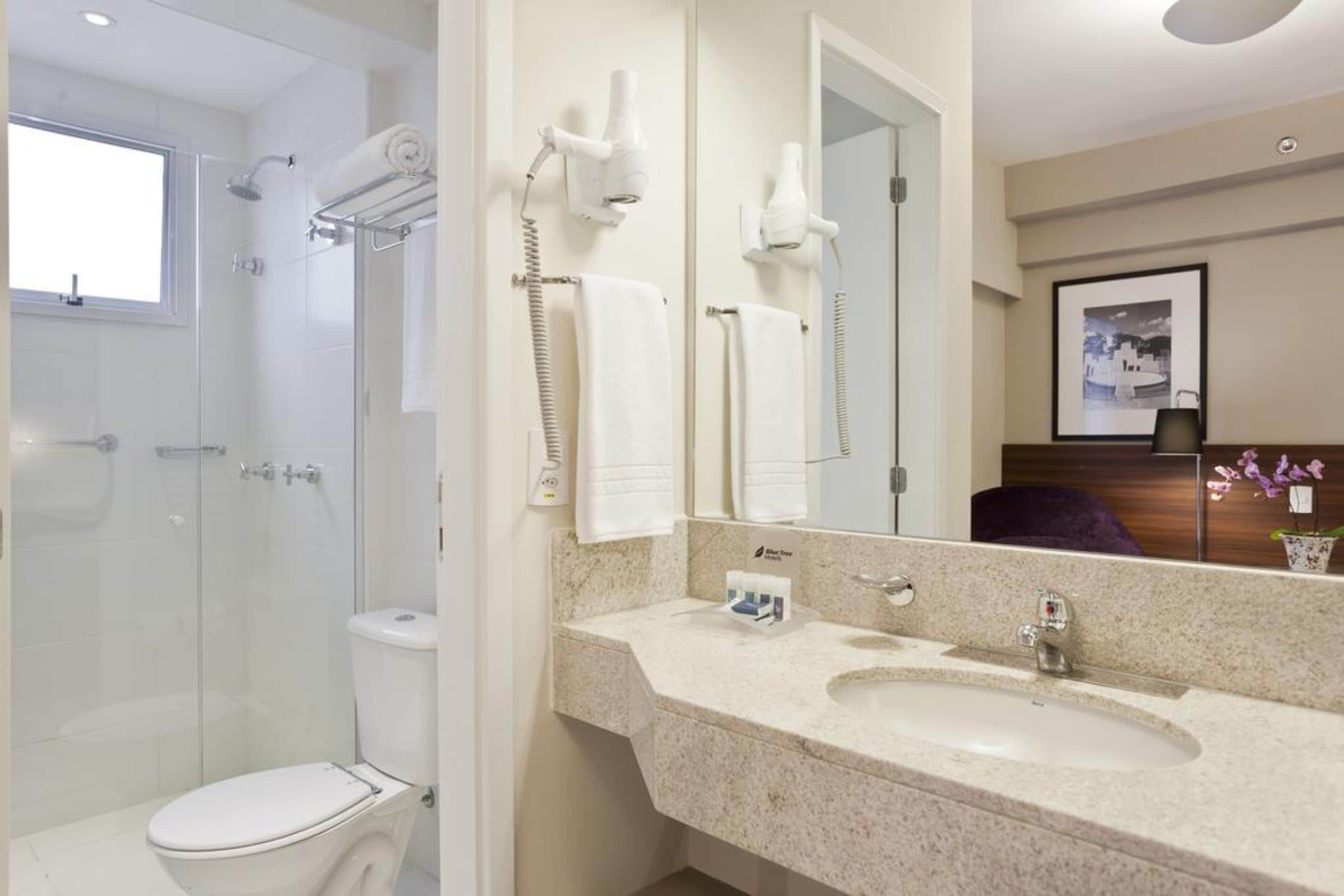 shower, free toiletries, hair dryer, towels