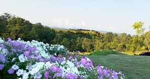 Vistas desde el alojamiento