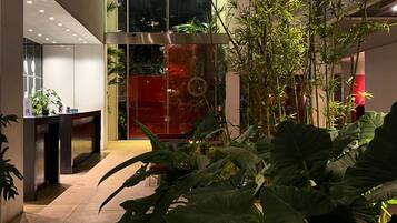 Zona d'entrada a l'interior amb una porta de vidre, plantes en testos i taulell de recepció.