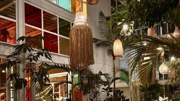 A modern indoor space with hanging wicker lamps, large windows, and indoor plants. - Now Hotel Cali - Adults Only (Cali)