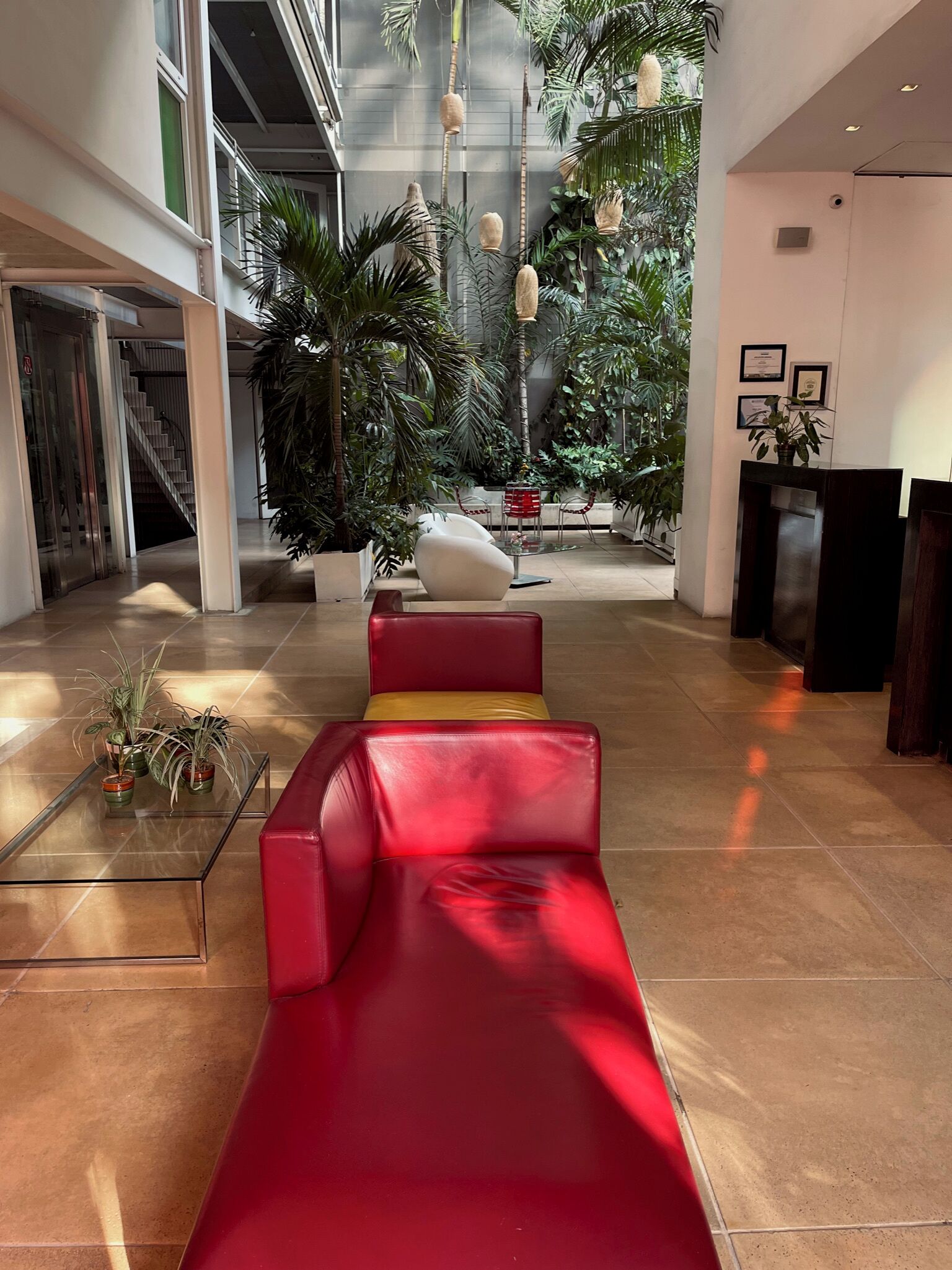 Photo - Now Hotel Cali - Adults Only